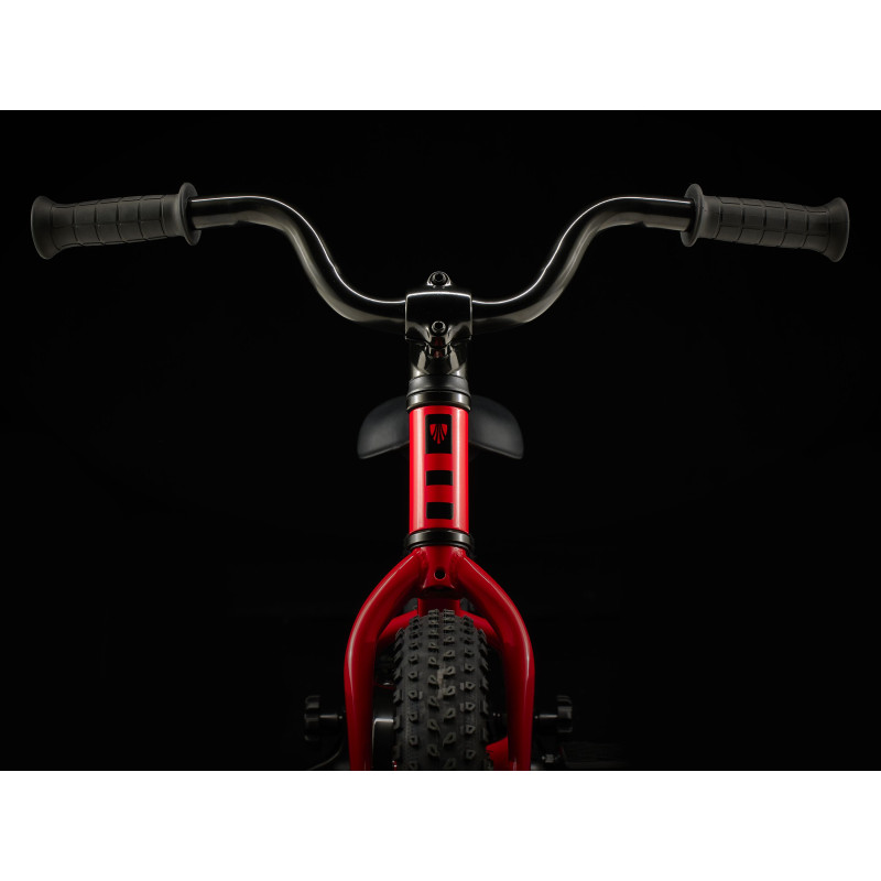 Rower TREK Precaliber 12