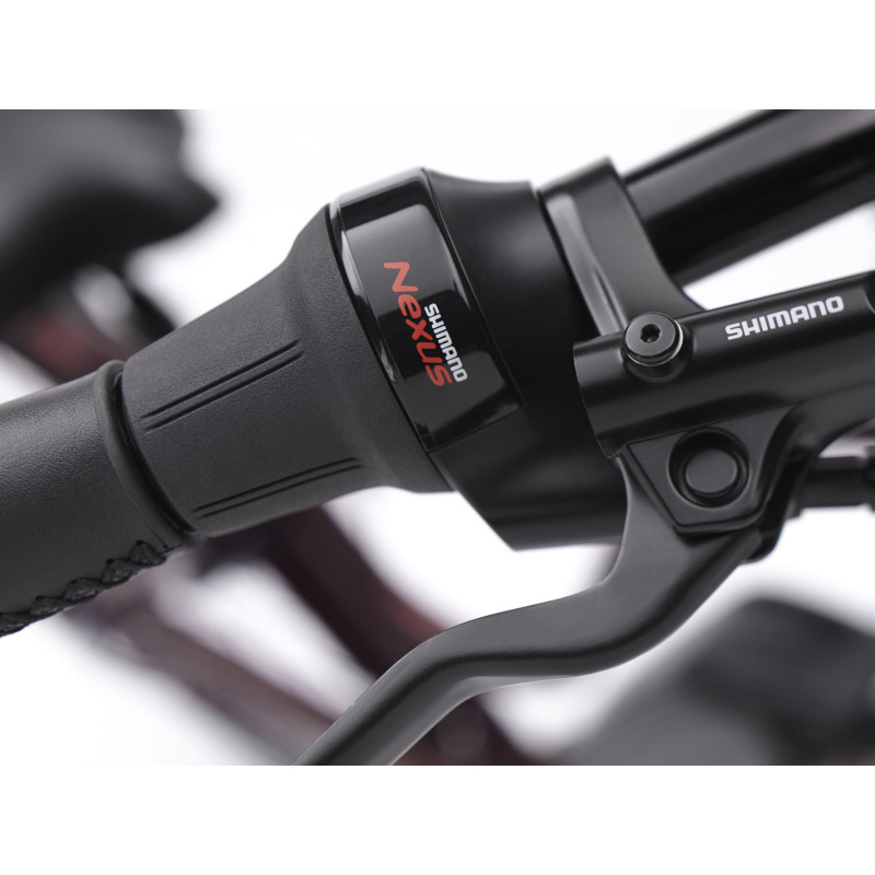 Rower ELECTRA Townie Commute Go! 5i z ramą w wersji damskiej
