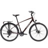 Rower TREK Verve Equipped